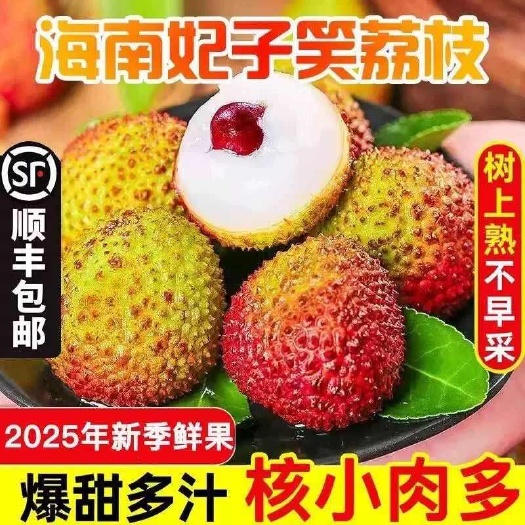 海口海南妃子笑荔枝水果应季现摘整箱桂花荔枝香甜老树大果顺丰包邮