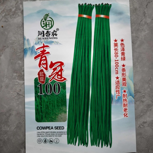 郑州青条豆角种子