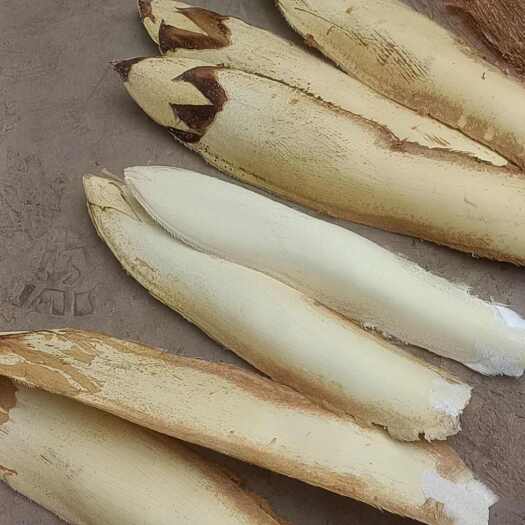 蒙自市大量出售棕头，棕花
