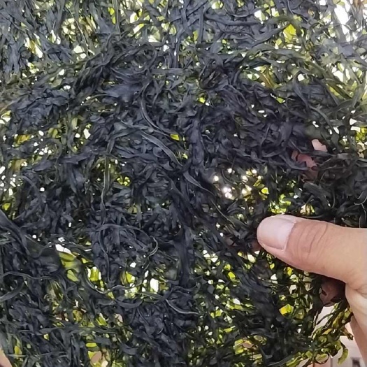 霞浦县烘干海带丝