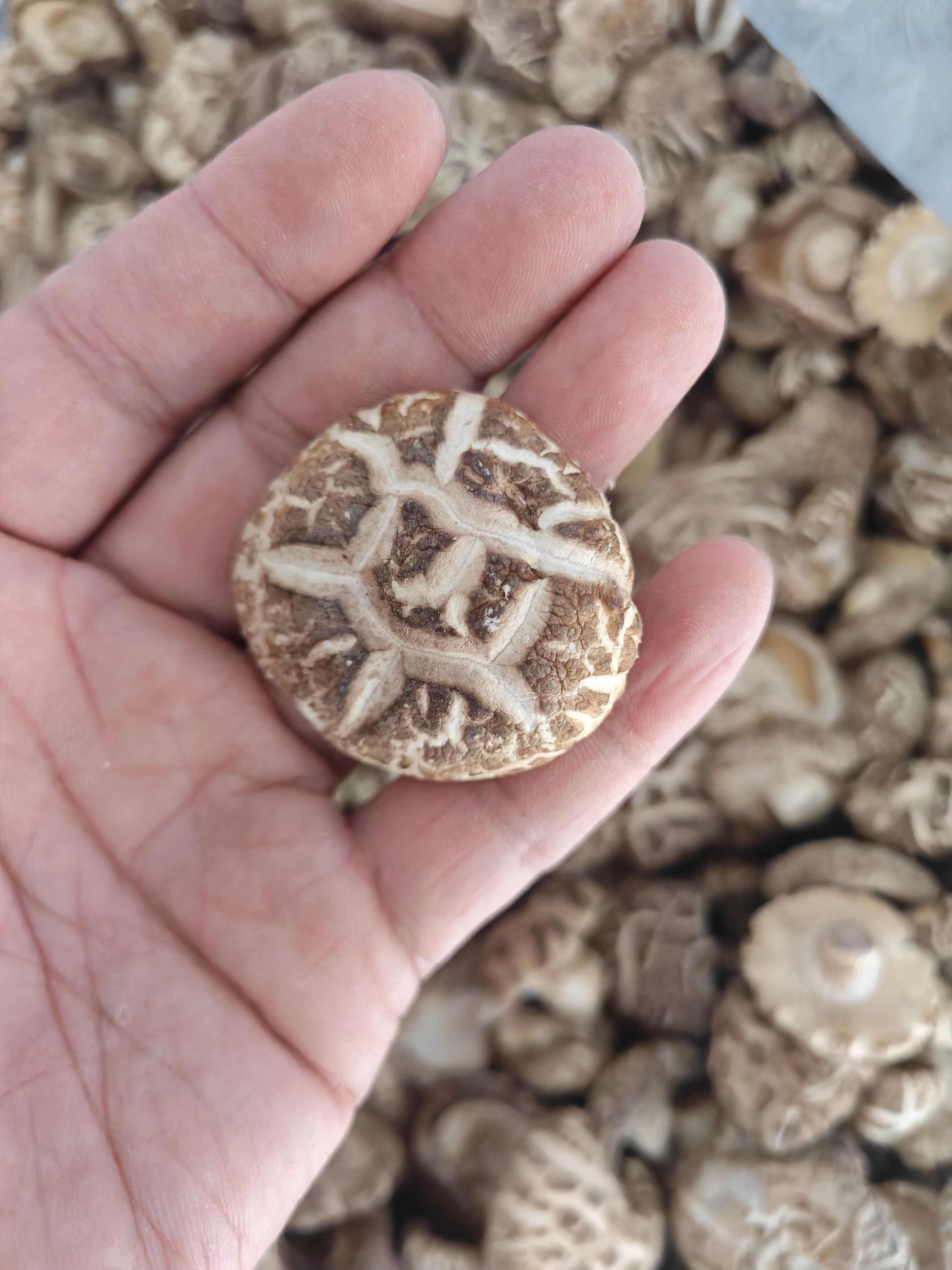 精品花菇干货 肉质肥厚干净好看 干香菇新货大小均匀小香菇冬菇