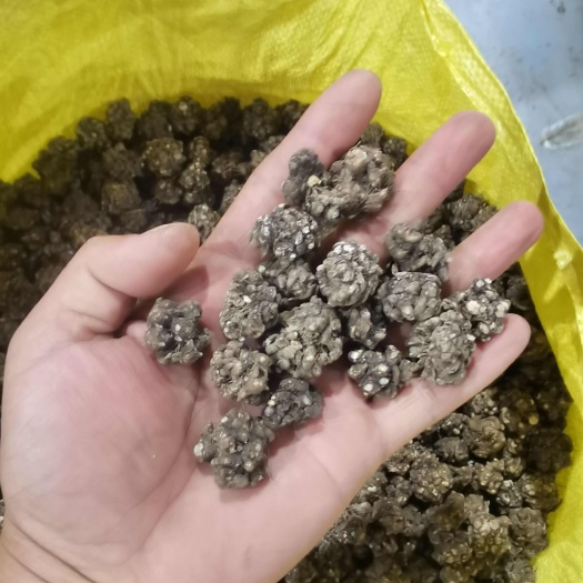 淮滨县河南信阳淮滨县优质猫爪草中药材 干燥根茎批发零售