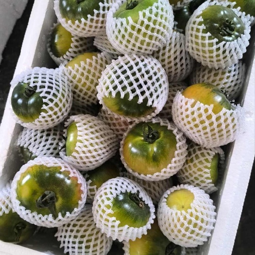 草莓番茄