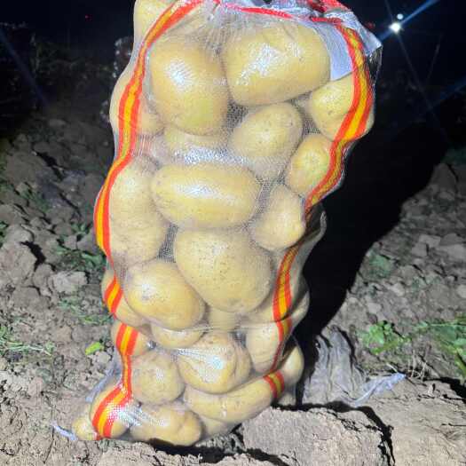 新土豆大量供应，价格便宜