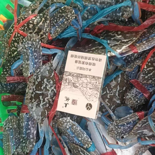 雷州市湛江 花蟹