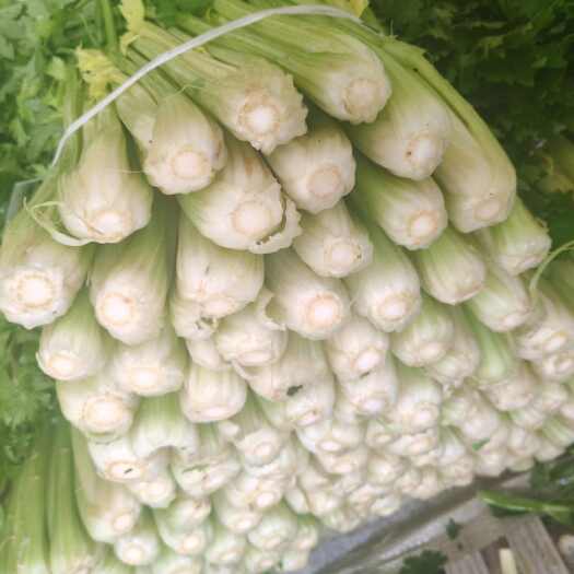 芹菜