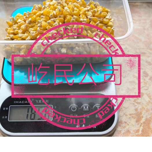 吉林市熟玉米粒