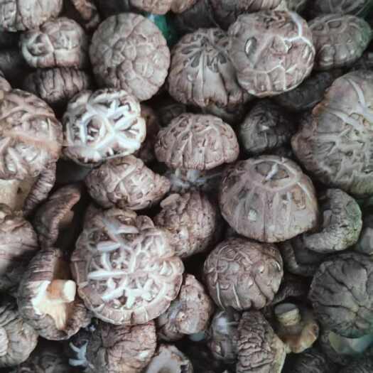 镇平县河南南阳镇平干香菇批发 高品质食用菌供货