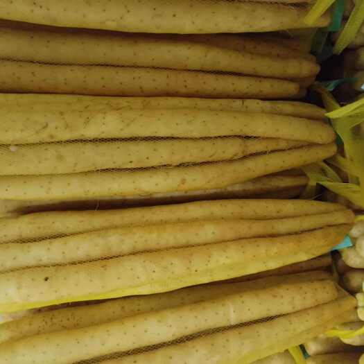 高陽(yáng)縣雙棒山藥，精品好貨，網(wǎng)袋，箱貨均可