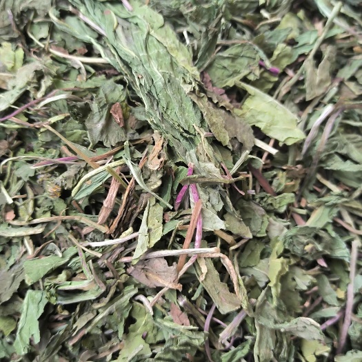 鄄城县蒲公英 新货上市 公英 批发各种规格中药材 质量保证