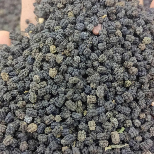 昆明云南昆明优质蚕沙中药材 干燥纯净适合多种用途