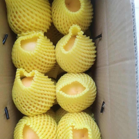 临湘市黄金蜜1号。