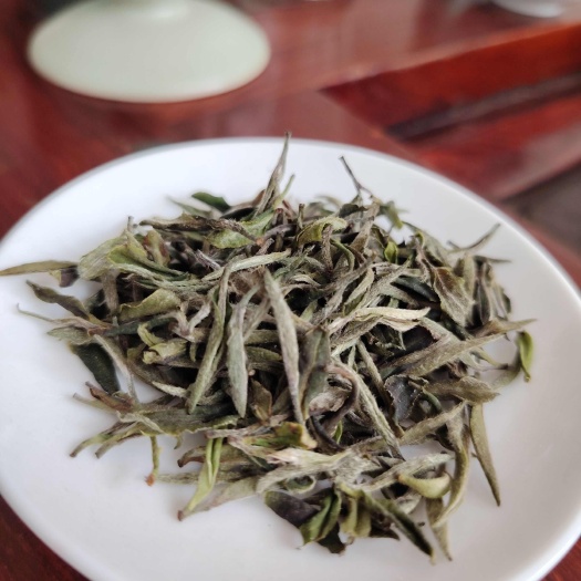 信阳白茶 银针 2025新茶