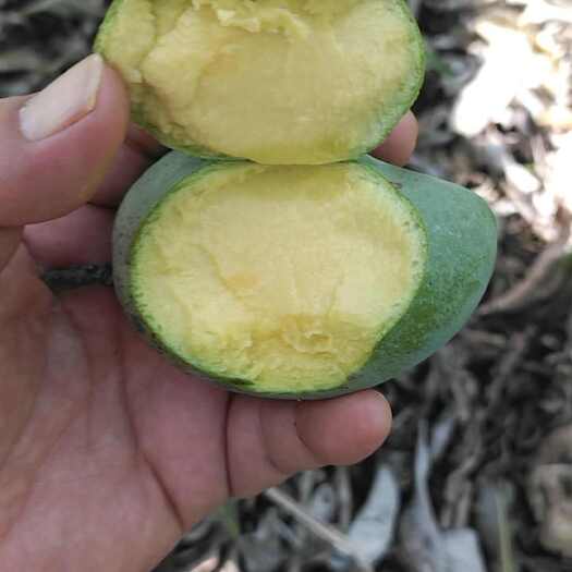 百色各位老板，目前芒果上市了，现货有红贵妃，大青芒，台农