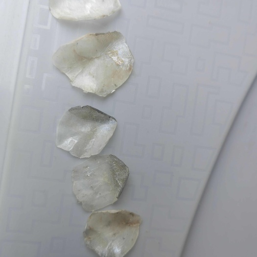 亳州青鱼草鱼鲤鱼麟片晒干