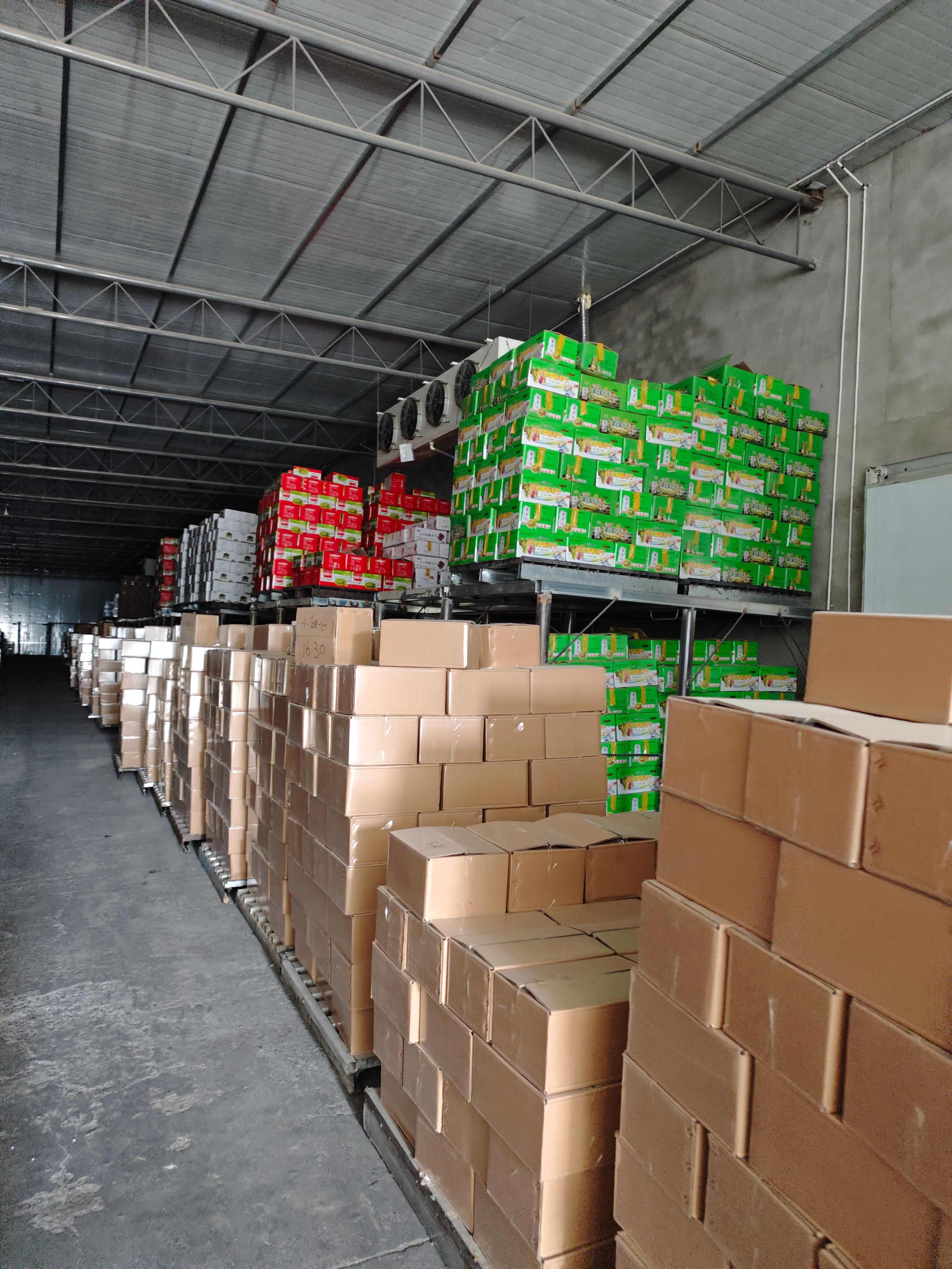 超大葡萄干，绿宝石葡萄干，多等级/吐鲁番市原地直发