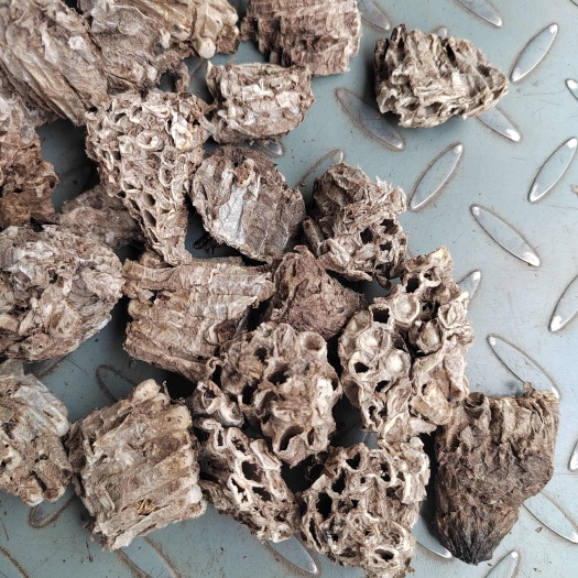 蜂窝，蜂房。马蜂窝，软蜂窝