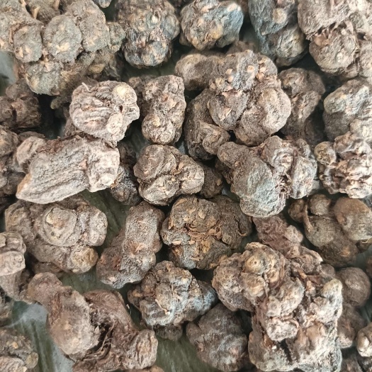 淮滨县河南信阳淮滨夏天无中药材根茎类药材批发
