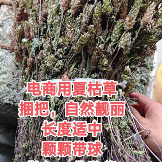 苍溪县夏枯草  嘢生全草带球高含量，常年经营大货，批发零售，个子