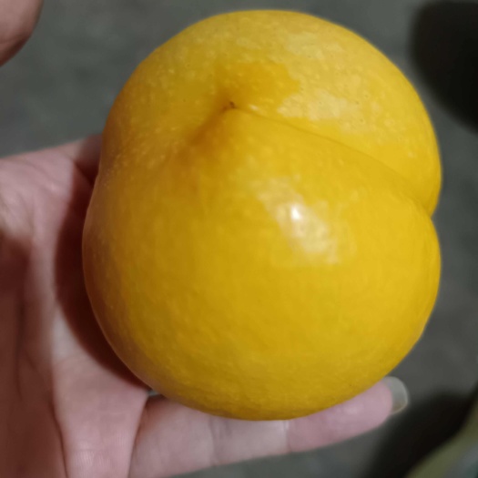 水果桃子
