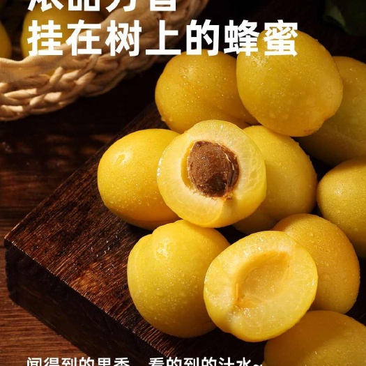 新疆小白杏，新货，甜如蜂蜜一件起发团购