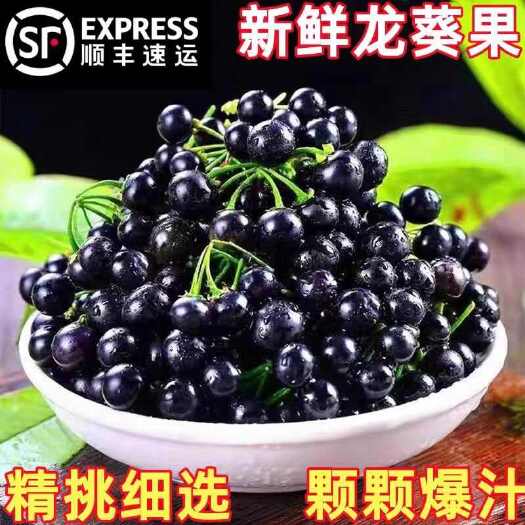 龙葵果（鲜果）