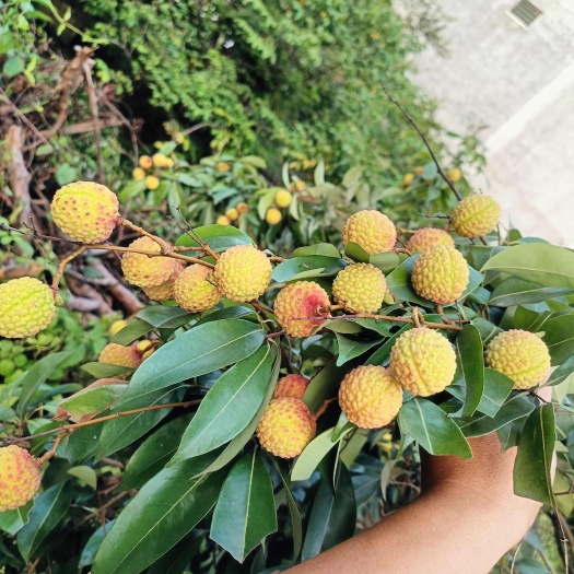 私信