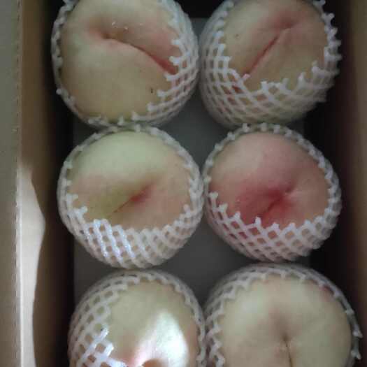 白凤桃子