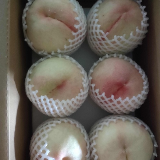 利辛县白凤桃子