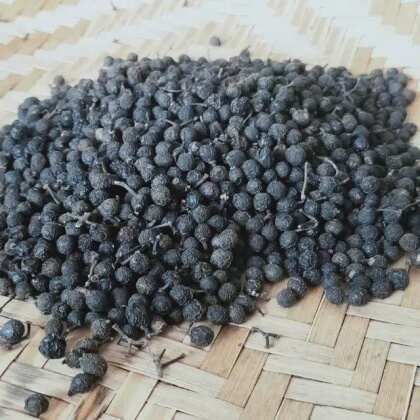 瑞金市木姜子干货无硫无炼油  山胡椒山苍子荜澄茄中药材 香料
