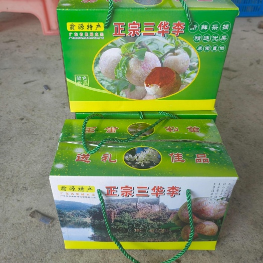翁源县广东翁源三华李