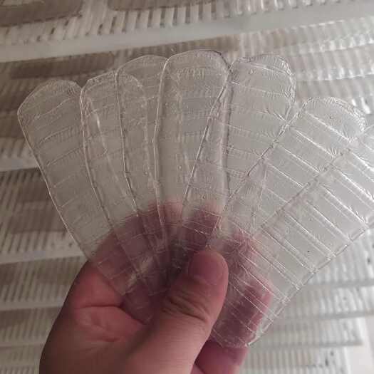 菏泽琵琶形小粉皮
