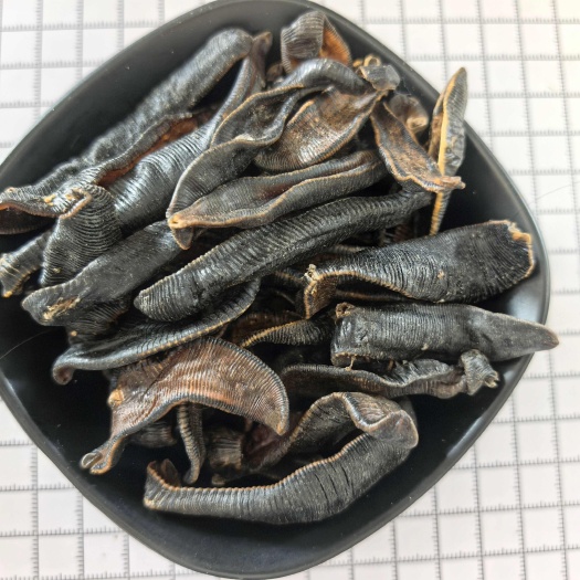 菏泽水蛭 清水吊杆水蛭 产地货源
