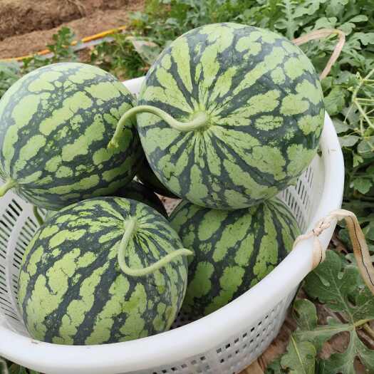 重庆市美都精品