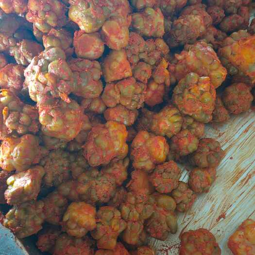 重庆市涪陵榨菜头