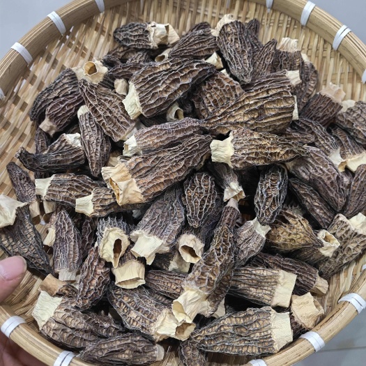 【羊肚菌】深山农户自种羊肚菌干货原汁原味地道土特产
