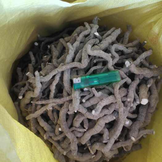 江西防己