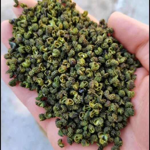 盐源县青花椒，四川凉山青花椒，自家种植。
