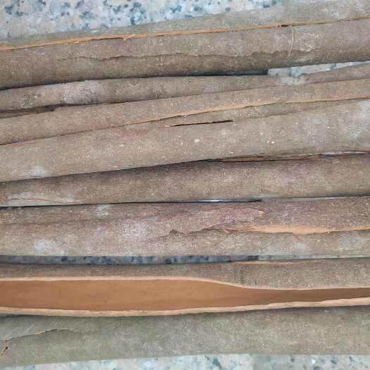 肇庆内桂皮