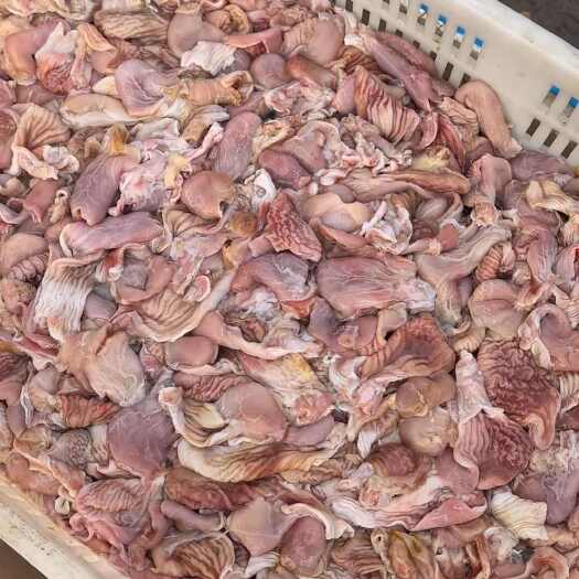 宜阳县鱼肚鱼泡