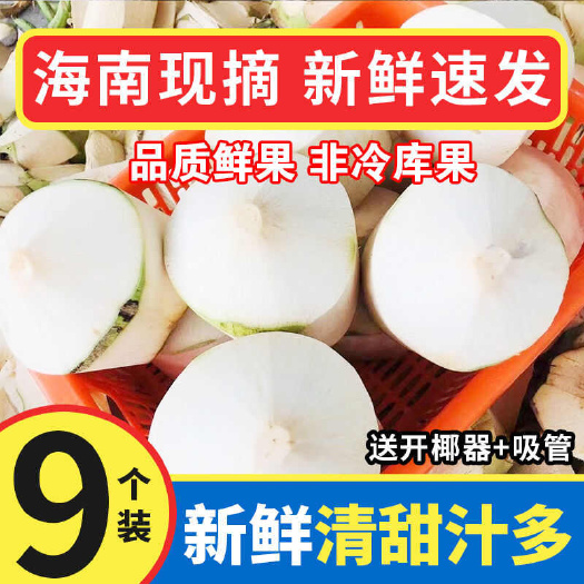 海南文昌椰青新鲜椰子水果孕妇去皮香椰皇椰汁椰子蛋整箱特产包邮