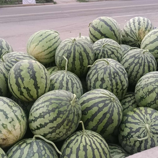 太康县头茬美都