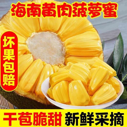 现摘西双版纳菠萝蜜新鲜采摘热带水果当季整个黄肉波罗蜜榴莲批发