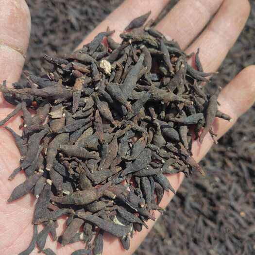 桦甸市中药材两头尖东北中草药水洗晒干500克