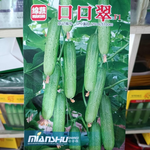长沙县绵蔬口口翠黄瓜种子F1 早熟强雌性耐低温无苦味品质优口感好