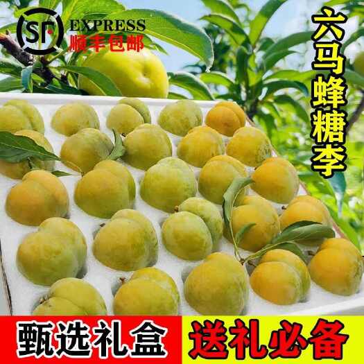 贵州特色六马蜂糖李子