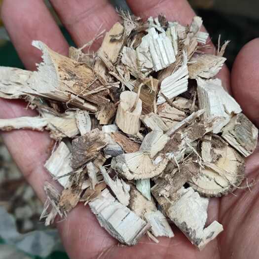 安国市蜀葵根 蜀葵杆 蜀葵茎 手机实拍 2斤起包邮