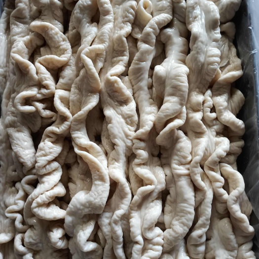 上饶预煮肥肠：大肠头：小肠圈圈肠：鲜大肠等