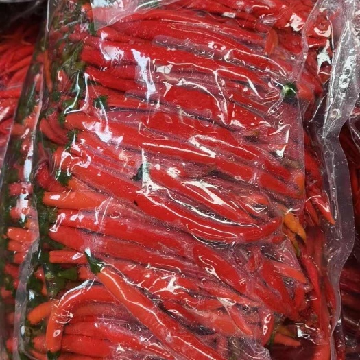 红泡椒