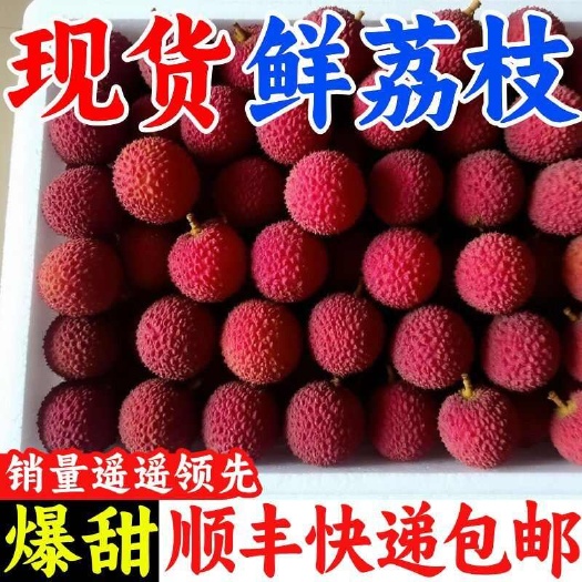 【顺丰冷链】广东茂名桂味新鲜现摘荔枝白糖罂妃子笑当季新鲜水果